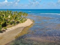 Aerial view of tropical white sand beach, palm trees and turquoise clear sea water in Praia do Forte Royalty Free Stock Photo