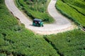 Aerial view Tuktuk Taxi on a tea plantation. U-Shaped road in a green landscape with motor vehicle