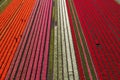 Aerial view of the tulip fields in North Holland