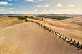 Aerial View of Tuscany Fields in Siena Royalty Free Stock Photo