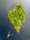 Aerial view of the Twelve Pines at Derryclare Lough