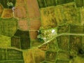 Aerial view of twins palm tree from Tay Ninh province of Vietnam country and rice field with a beautiful mountain Royalty Free Stock Photo