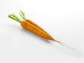 Aerial view of two carrots with their respective branches Abrir en el Traductor de Google Enviar comentarios