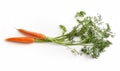 Aerial view of two carrots with their respective branches and leaves Royalty Free Stock Photo