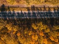 Aerial view of two cars on road through autumn forest Royalty Free Stock Photo