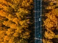 Aerial view of two cars on road through autumn forest Royalty Free Stock Photo