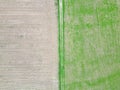 Aerial view of two fields divided by a narrow border. Royalty Free Stock Photo