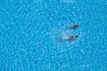 Aerial view of a two girls swimming in the pool Royalty Free Stock Photo