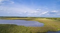 Aerial view of typical Pantanal landscape, Brazil Royalty Free Stock Photo