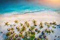 Aerial view of umbrellas, palms on the sandy beach of ocean Royalty Free Stock Photo