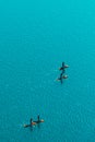 Aerial view of unrecognizable people stand up paddle boarding