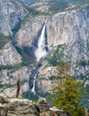Aerial view of Upper and Lower Yosemite Falls, Yosemite National Park, California Royalty Free Stock Photo