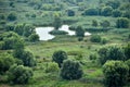 View of the Vacaresti Nature Park in Bucharest Royalty Free Stock Photo