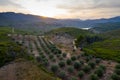 Aerial view of the valley, olive fields and Embalse de Forata reservoir during sunset. Summer in Spain