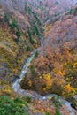 Aerial view of valley and stream in fall season. Royalty Free Stock Photo