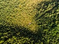 Aerial view of Varnikai cognitive walking way, leading through the most beautiful places of the Varnikai preserve, located near