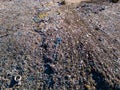 Aerial view of a vast landfill, where bulldozers are working and trucks are bringing new waste, huge flocks of birds are