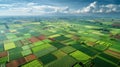 Aerial view of a vast landscape dotted with patchwork fields of various crops including corn and sugarcane carefully Royalty Free Stock Photo