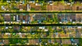 Aerial view of vegetable gardens. Netherlands. Canals with water for agriculture. Fields and meadows.