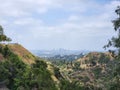 Aerial view of a vibrant cityscape of Los Angeles situated atop a lush hillside