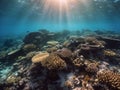 Aerial View of Vibrant Coral Reef