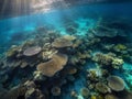 Aerial View of Vibrant Coral Reef