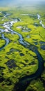 Aerial View Of Flowing River In Vibrant Wetlands