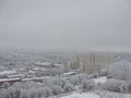 Aerial view village among the fields and forests in winter. winter landscape snow covered field and trees in countryside Royalty Free Stock Photo