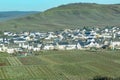 Aerial view of village of Trittenheim at Moselle bend