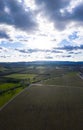 Aerial View of Vineyard in Northern California Royalty Free Stock Photo