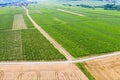 aerial view vineyard scenery Alsace France