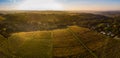 Aerial view, Vineyard Sunrise in autumn, Bordeaux Vineyard, France Royalty Free Stock Photo