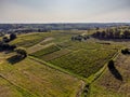 Aerial view, Vineyard Sunrise in summer, Sainte Croix du Mont, Bordeaux Vineyard, Gironde, Aquitaine Royalty Free Stock Photo