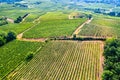 Aerial view of vineyards in Alsace, France Royalty Free Stock Photo