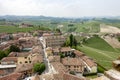 Aerial view of the vineyards of Barbaresco, Piedmont.