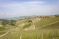 Aerial view of the vineyards of Barbaresco, Piedmont. Royalty Free Stock Photo