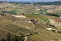 Aerial view of the vineyards of Langhe, Piedmont. Royalty Free Stock Photo