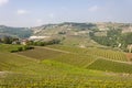 Aerial view of the vineyards of Langhe, Piedmont. Royalty Free Stock Photo