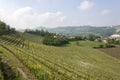 Aerial view of the vineyards of Langhe, Piedmont. Royalty Free Stock Photo