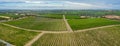 Aerial view of vineyards at McLaren Vale in Australia Royalty Free Stock Photo