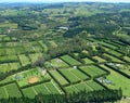 Aerial view of Vineyards and Rural Farms