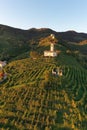 Aerial view of Vineyards in Valdobbiadene, Veneto, Italy Royalty Free Stock Photo