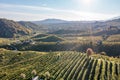 Aerial view of Vineyards in Valdobbiadene, Veneto, Italy Royalty Free Stock Photo