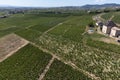 Aerial view on vineyards and villages near Mont Brouilly, wine appellation CÃÂ´te de Brouilly beaujolais wine making area along