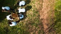 Aerial view of volunteers participate in nurturing the ecosystem