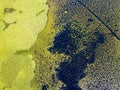 Aerial view of water lilies seen from above. Background of aquatic plants. Lake Scutari, Skadar National Park Montenegro Royalty Free Stock Photo