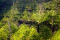 Aerial view of water streams, waterfalls and lush landscape, Kauai