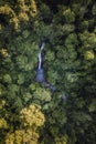 Aerial view of waterfall surrounded by jungle