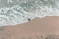 Aerial view of waves flooding a single rock