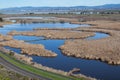 Aerial view of wet marshland